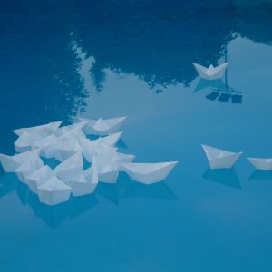 MOVIMENTO DEI POPOLI